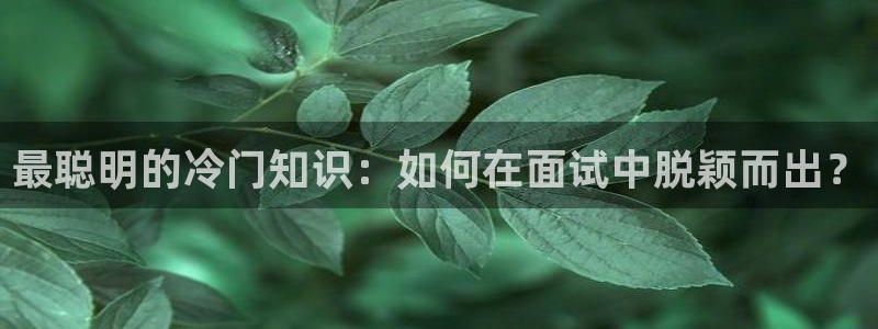 午夜小说免费：最聪明的冷门知识：如何在面试中脱颖而出？
