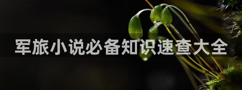 免费午夜小说：军旅小说必备知识速查大全