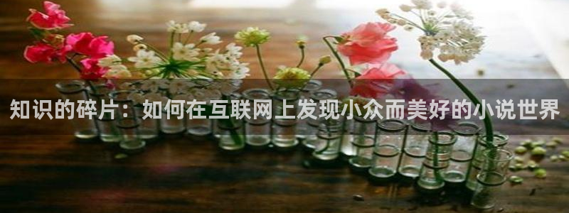 好看的午夜小说：知识的碎片：如何在互联网上发现小众而美好的小说世界