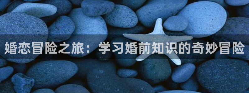 午夜小说18禁免费阅读：婚恋冒险之旅：学习婚前知识的奇妙冒险