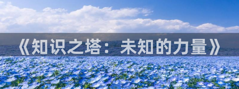 www.午夜小说.com：《知识之塔：未知的力量》