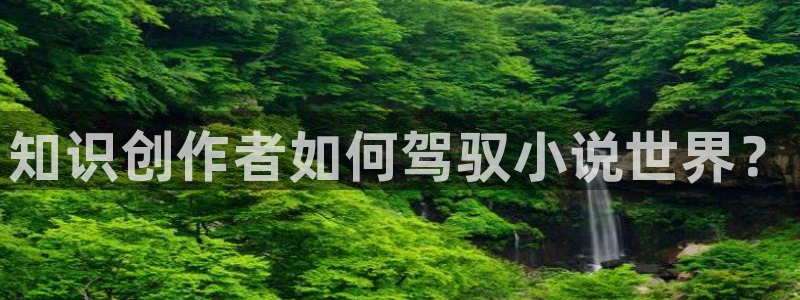 午夜小说免费读：知识创作者如何驾驭小说世界？